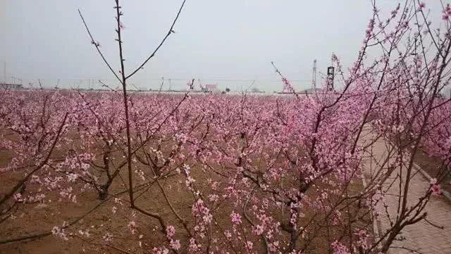 在阜阳,有这样一个地方